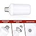LED Flame Effect Light Bulb, E26 7W 4 Modes with Gravity Induced Decorative Light Fire Flickering Atmosphere Lighting Vintage Flaming Lamp, Decorative Light for Halloween,Christmas (2 Pack)