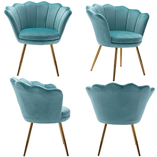 HNY Comfy Desk Chair no Wheels, Velvet Upholstered Accent Chair, Vanity