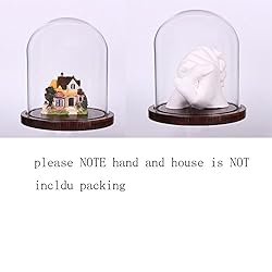 Moonlear Glass Cloche Bell Jar Display Dome with