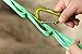Raqpak Wiregate Carabiner Lightweight and Very Strong Aluminum Material (Army Green, Small)