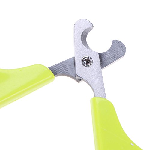 Jocestyle Pet Dog Cat Nail Toe Care Claw Clippers Scissors Trimmer Cutter Grooming Pro Tools