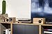 Como Audio: Solo + Ambiente + Turntable – 3 System Bundle (Walnut/Black)thumb 2