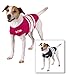 Thundershirt Dog Anxiety Treatment - Pink Rugby (Medium)