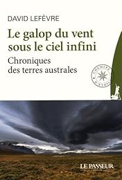 Le  galop du vent sous le ciel infini