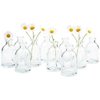 Chive - Loft, Set of 10 Clear Tall Bottle 1.75