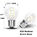 DC 12V LED Edison String Warm White 2700k 2 Watt LED Edison Filament G45 Light Bulb E26 E27 Medium Base Lamp Low Voltage 12 Volt Battery Lighting Landscape Garden Outdoor Solar