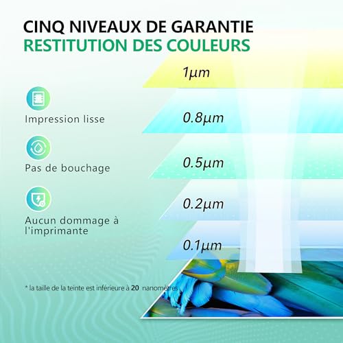 NewLift 575XL 576XL Cartouche d'encre Compatible Cartouche Canon 575 et 576 PG575XL CL576XL pour Canon Pixma TS3551i TR4755i TS3750i TS3550i TR4750i TS3751i TR4751i TR4756i (Noir, Couleur 2-Pack)