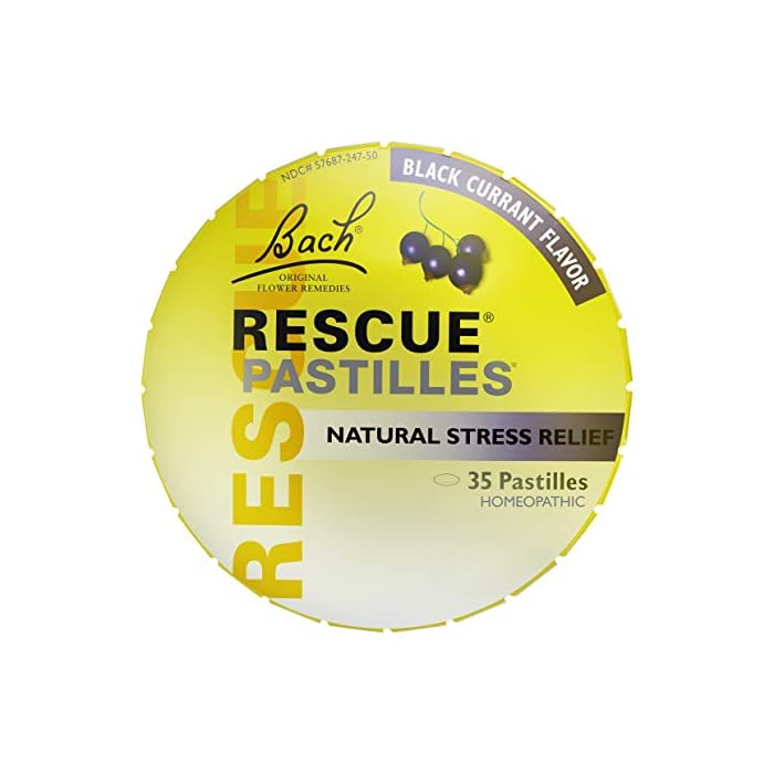 Bach RESCUE PASTILLES, Black Currant Flavor, Natural Stress Relief Lozenges, Homeopathic Flower Essence, Vegetarian…