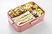 Skater 4-point lock lunch box 650ml Gudetama