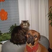 Wasserzähler ablesen