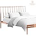 Empyrean King Size Sheet Set - 4 PC Super Soft Double Brushed Microfiber for King Bed - Hotel Luxury Cream Beige With 4 Corner Elastic Straps