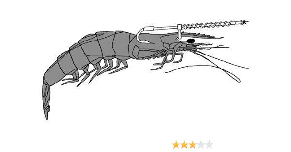 Live shrimp holder hook Clearance