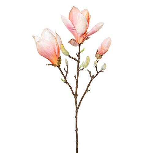 Pflanzen-Kölle Kunstblume Magnolienzweig, apricot, ca. 69 cm, 2 Stück