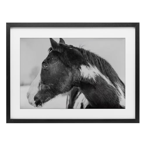 'Draisma Horse Looking Left'| Framed Print Under Glass
