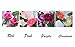Meiliy 2 Pcs 8.2 FT Fake Rose Vine Flowers Plants Artificial Flower Home Hotel Office Wedding Party Garden Craft Art Decor, Purple
