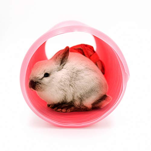 Small Animal Play Tunnel with 3 Pack Play Balls and Apple Sticks, Collapsible Plastic Guinea Pigs Tube, Fun Pet Tunnel Hideway for Guinea Pigs Chinchillas Rats and Dwarf Rabbits (OD-3.9inch)