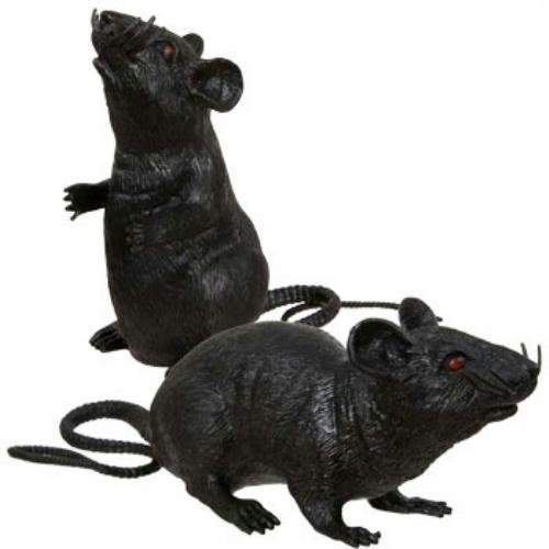 Photo 1 of 2 Black Plastic Squeezable Squeaking Rats Spooky Scary Creepy Halloween Decor by Greenbrier