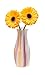 MODGY Expandable Flower Vase Plastic Decorative Modern Vases for Flowers Centerpieces Dining Table Decor Living Room Bathroom Wedding Office, Karnival MyVaz
