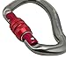 Fusion Wave Screw Gate Carabiner