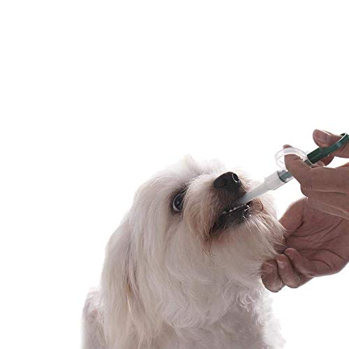 pill syringe for dogs