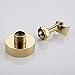 KES BRASS Handheld Shower Holder Wall Mount Shower Wand Hose Bracket Gold, C213-4