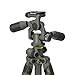 Vanguard Alta Pro 2+ 263AP Aluminum Tripod with Alta PH-32 Pan Head and Multi-Angle Center Column