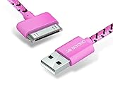 Go Beyond (TM) 6 Feet 30 Pin Nylon Braided Premium USB Charging Data Sync Cable for Apple iPod, iPhone, and iPad (6FT Pink Nylon Cable)