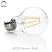 FluxSmart LED Filament Edison Light Bulb - Dimmable Warm White 8W - 60W Equivalent A19 E26/27 Base 2700K (8)