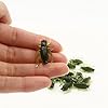 CINRA-30pcslot-Soft-Baits-Fishing-Lures-25cm-Insect-Baits-Cricket-Baits-Artificial-Fishing-Tackle-Accessories