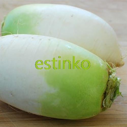 20pcs/lot Korean White Radish Seeds Garden Radish Korean Kimchi Radish