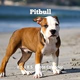 Pitbulls 8.5 X 8.5 Calendar September 2019 -December 2020: Monthly Calendar with U.S./UK/ Canadian/C by Lynne Book Press