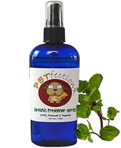 outdoor pet drinking fountain