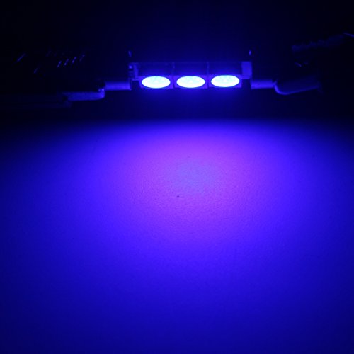 AMAZENAR 20-Pack 50 Lumens Blue 28MM(1.1") - 31MM(1.25") 12V LED Festoon Light 5050 3-SMD Sun Visor Vanity Mirror LED Bulbs for Vehicle 6615F 6614F 3021 3022 3175 T-2 SF6/6 (Blue)
