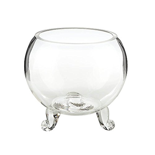 Decorative Sphere Glass Fish Bowl Vase Terrarium Hydroponic