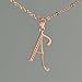 Paialco 14K Rose Gold Plating Sterling Silver Initial Alphabet A Pendant Necklace 18