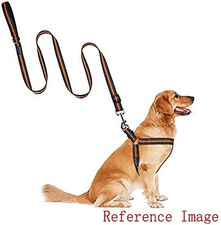 House of Quirk Dog Chest Strap Belt(Color As Per Availability)