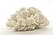 White Resin Sea Coral Piece | Aquarium Ornament for Decoration | Coral for Craft | (7