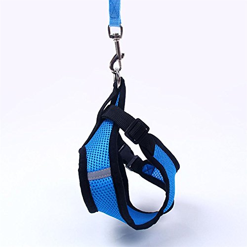 Simayixx Vest Mesh Harness and Leash for small dogs&cats, Adjustable and comfortable (S, Blue) - Thumbnail 2