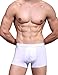 Pack of 4,HOEREV Men's Bamboo Fiber Briefs Underwear