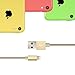 iPhone Charger Youer - 4Pcs 3F 6FT 6FT 10FT iPhone Lightning Cable Nylon Braided 8pin to USB Charging Cord for Apple iPhone 7/7 plus/6/6s/se/5s/5c/5,iPad Air,Mini/iPod (Gold & Silver)