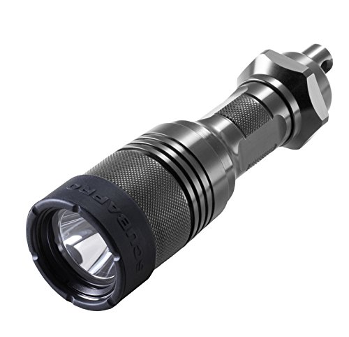 Buyer's Guide to finding the Best Scuba Dive Lights