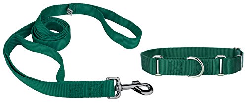 Country Brook Design Martingale Nylon Dog Collar & Double Handle Leash-Green-L