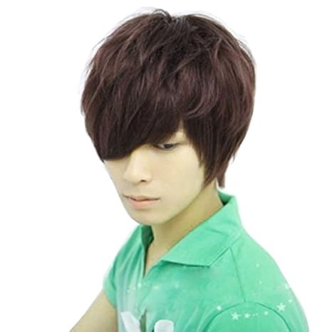 Rokou Fashion Style Male Man Boys Short Brown Color Straight Hair