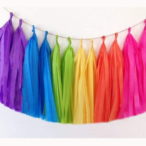 Amazon Com Rainbow Tissue Tassel Garland Assembled Bright Party
