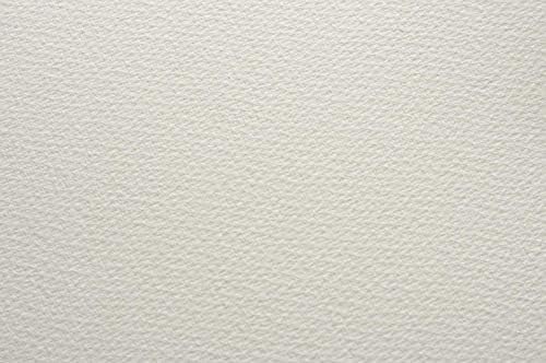 40 x Saunders Waterford 300gsm (140lbs) - Rough - 1/4 Imperial (28x38cm/11x15")