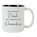 CustomGiftsNow Only the Best Dads Get Promoted to Grandpa 11 ounce White Sublimation Ceramic Coffee Mug, (Black)
