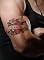Livro Tatuagens