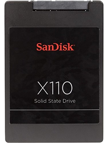 SanDisk x110 SD6SB1M-256G-1022I 256GB 2.5 SATA III Internal Solid State Drive (SSD) Bare