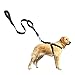 2 Handle Nylon Dog Leash by Luckyandco, 4 Feet Long Padded Handle Nylon Lead for Medium and Large Dogs Daily Walking & Training, Black