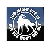 You Might Get in But You Won't Get Out